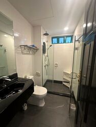 Fortune Park (D19), Condominium #635952151